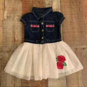 Nannette Kids Girls Size 2T Denim And Tulle Dress With Embroidered Roses